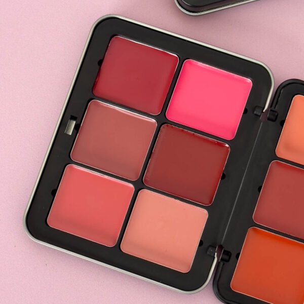 Paleta Ultra HD Blush Ministar - Imagen 2